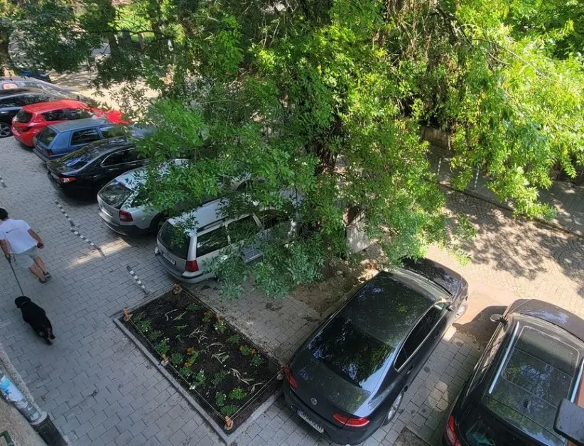 "На всички и за всички": Преобразиха градинка пред блок в София СНИМКИ