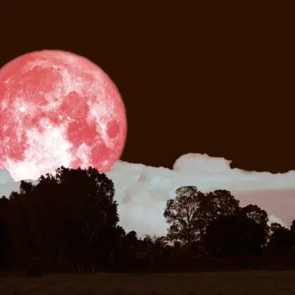 Лятото ще започне с Ягодова луна Юнското пълнолуние ще бъде