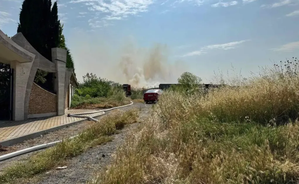Пожар гори край хотелски комплекс в Поморие