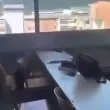 Появиха се ужасяващи кадри от стрелбата в училище в Австрия ВИДЕО