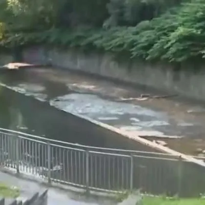 Сигнал за поредно замърсяване на една от емблематичните софийски реки