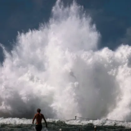 През последните години се забелязва трайна тенденция за намаляване на