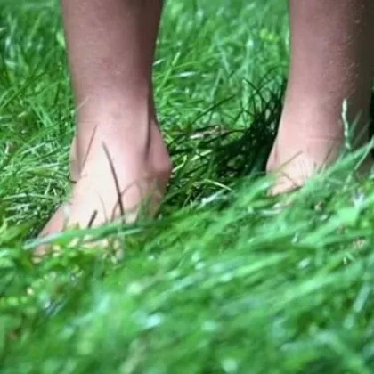 Два случая на Лаймска болест са регистрирани в област Велико