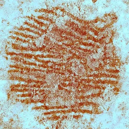 В суровия пейзаж на Централна Испания археолози се натъкнаха на