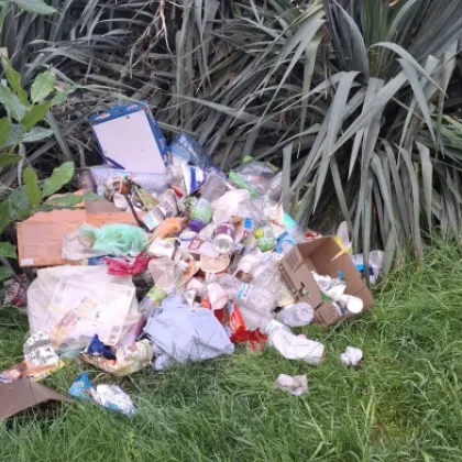 Неприятна гледка посреща минувачите в парка до училище Димитър Талев