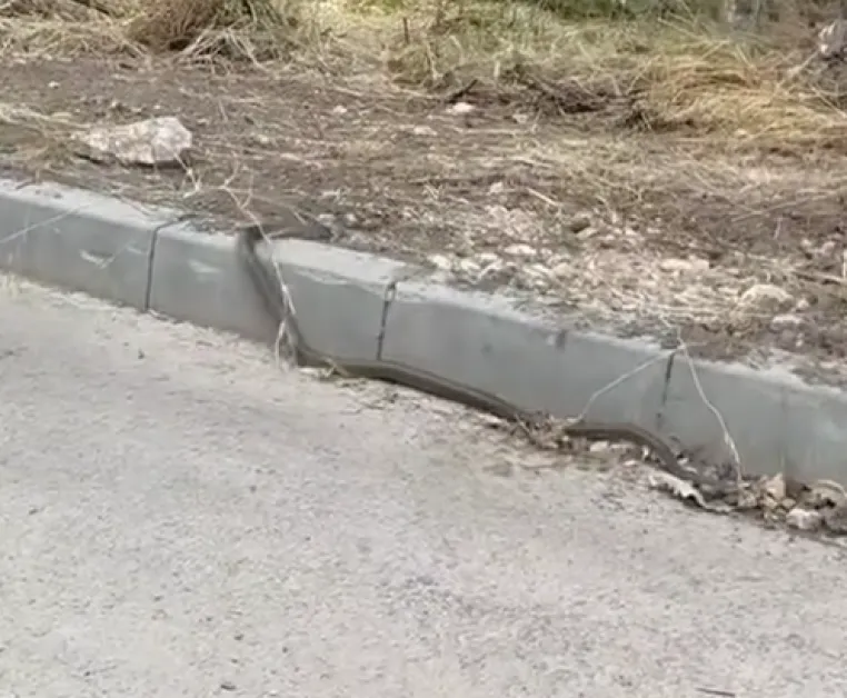 Змия пропълзя до детска площадка