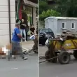 Изнемощял кон се строполи на улица в Кюстендил ВИДЕО