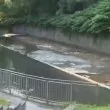 Кафяв цвят и задушлива миризма: замърсена ли е столична река?