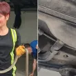 Двучасова акция по изваждане на змия от кола в Благоевград СНИМКИ