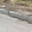 Змия пропълзя до детска площадка