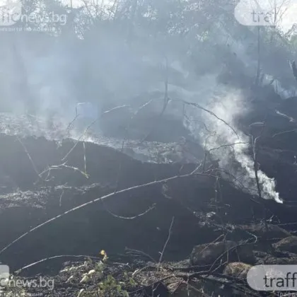 Първи кадри показват щетите от огнената стихия в Пловдив Пожарът който