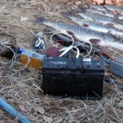 Полицията разследва незаконен риболов по река Дунав в района