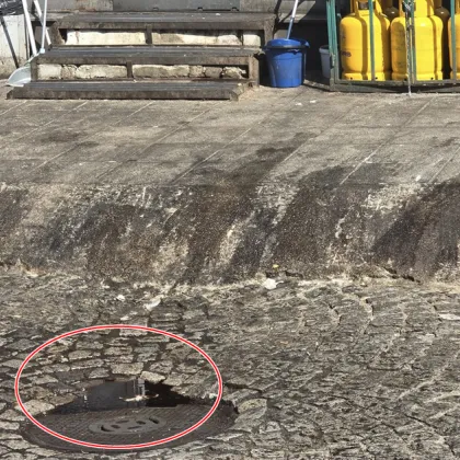 Павлина Павлова сигнализира във Фейсбук на 11 юни за тревожна