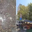 Опит за "убийство" на дърво до сергия в София, заливат го със солена вода СНИМКИ