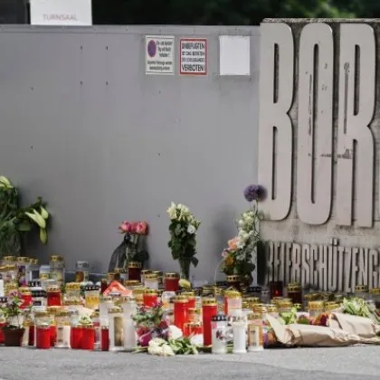 Австрийското правителство планира да затегне националните закони за оръжията след