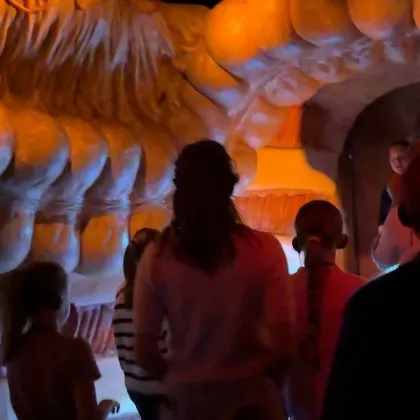 Замисляли ли сте се някога какво е да бъдете миниатюрно