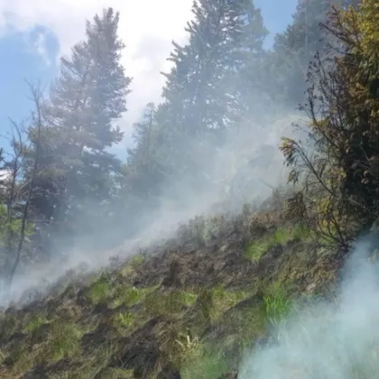Овладян е пожарът който възникна в местността Каменица Коджакарийца в