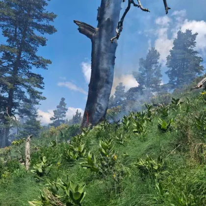 Низов пожар е възникнал тази сутрин в местността Каменица Коджакарийца