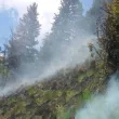 Овладяха пожара в Природен парк "Рилски манастир"