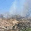 Гори сметище край пловдивско село СНИМКИ