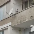 Котка в окови: Пореден случай на тормоз над животно