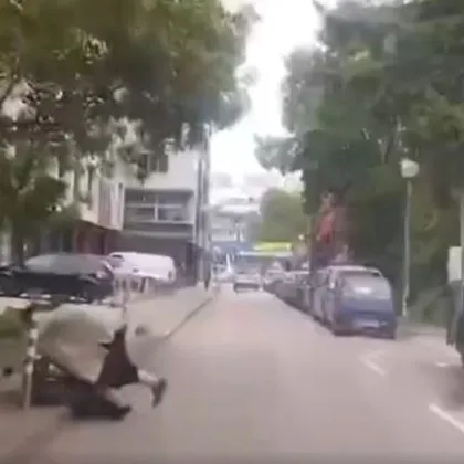 Децата нямат спирачки С този призив родители и институции призовават