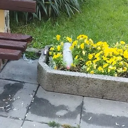 На грозна гледка се натъкна столичанин пред кметството на район