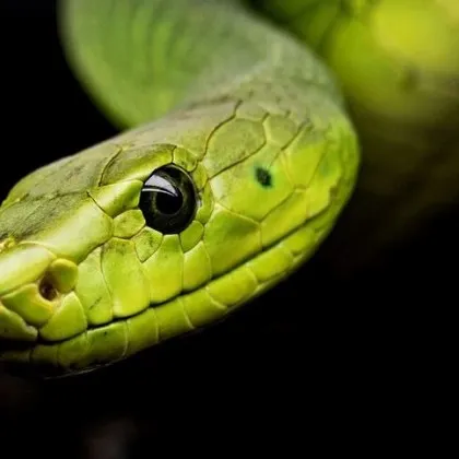 Опасен инцидент стресна медиците и жителите на блок в Сандански