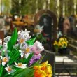 Какво не трябва да правите на гробище: суеверия и вярвания