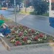 Красота, грижа и добър пример: Млади момичета стоплиха сърцата със свой жест СНИМКИ