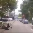 На косъм от инцидент: дете изскочи на асфалта, падна пред кола ВИДЕО