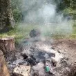 Пишман туристи блеснаха с пълно безхаберие в красива гора СНИМКА