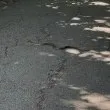 Змия изпълзя в любим пловдивски парк СНИМКИ