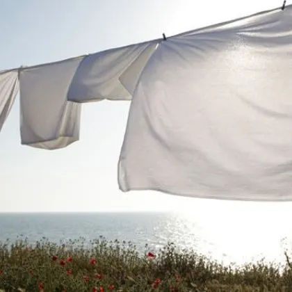 Изследователите призовават хората да избягват сушенето на прането си на