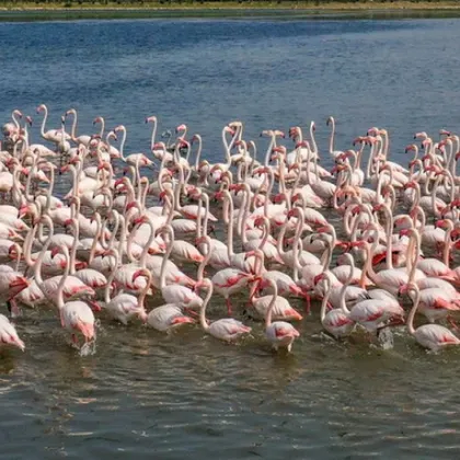 Езерото Туз второто по големина езеро в Турция разположено в