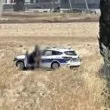 Уловиха полицаи в страстен момент насред нива – по време на дежурство! ВИДЕО