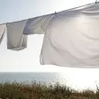 Защо не трябва да сушите прането си навън по време на горещите вълни