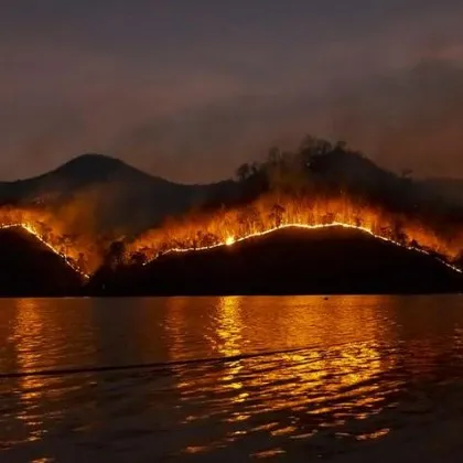 Горски пожар е избухнал днес по обяд в района на