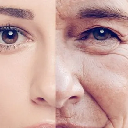 Кожата е най големият орган в човешкото тяло и е подложена