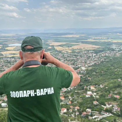 В РИОСВ – Шумен не е регистрирано животно от разред