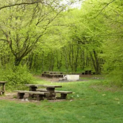 Затвориха за хора пешеходните зони в района на ПП Шуменско