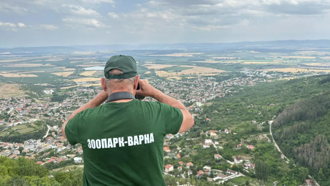 РИОСВ-Шумен: В инспекцията не е регистрирано животно от разред "Диви котки"