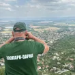 РИОСВ-Шумен: В инспекцията не е регистрирано животно от разред "Диви котки"