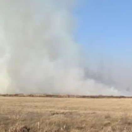 Пожар е пламнал по време на жътва в петък към