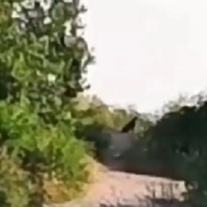 Във връзка с планираните действия за установяване на местонахождението на