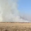 Голям пожар по време на жътва, изгорели са 210 декара