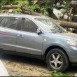 Клон помля кола в Пловдив ВИДЕО