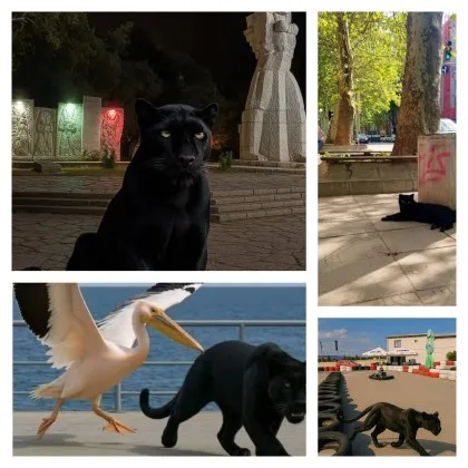 След лавината от колажи и шеги за разходките на шуменската