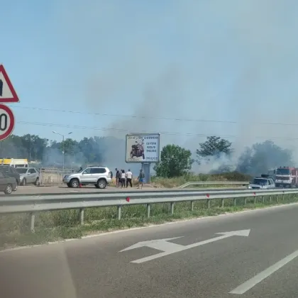 Пожарът избухнал днес по обяд в нива край Димитровград в близост