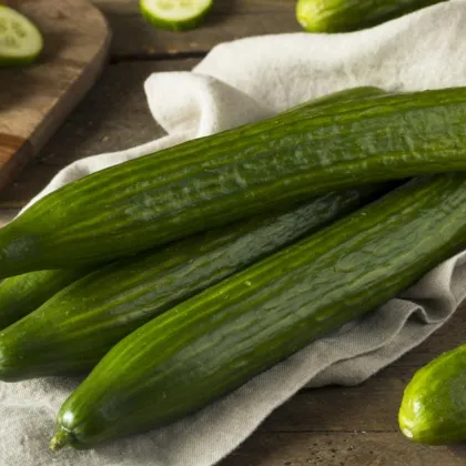 Тежките дни за българското зеленчукопроизводство не са приключили Екип на bTV